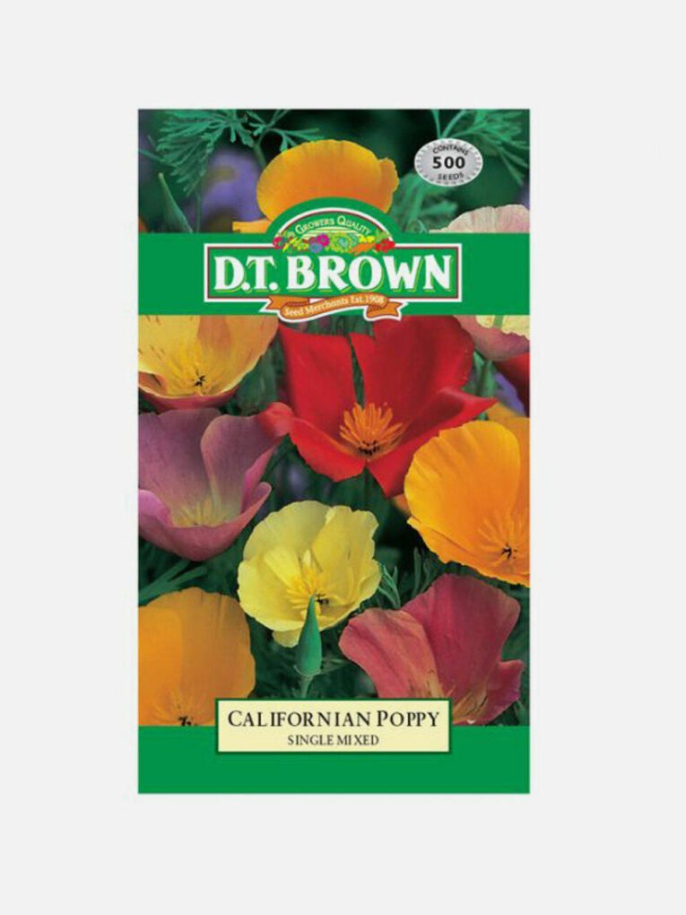 Californian Poppy Single Mixed | Pestrol