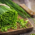 Chives | Pestrol