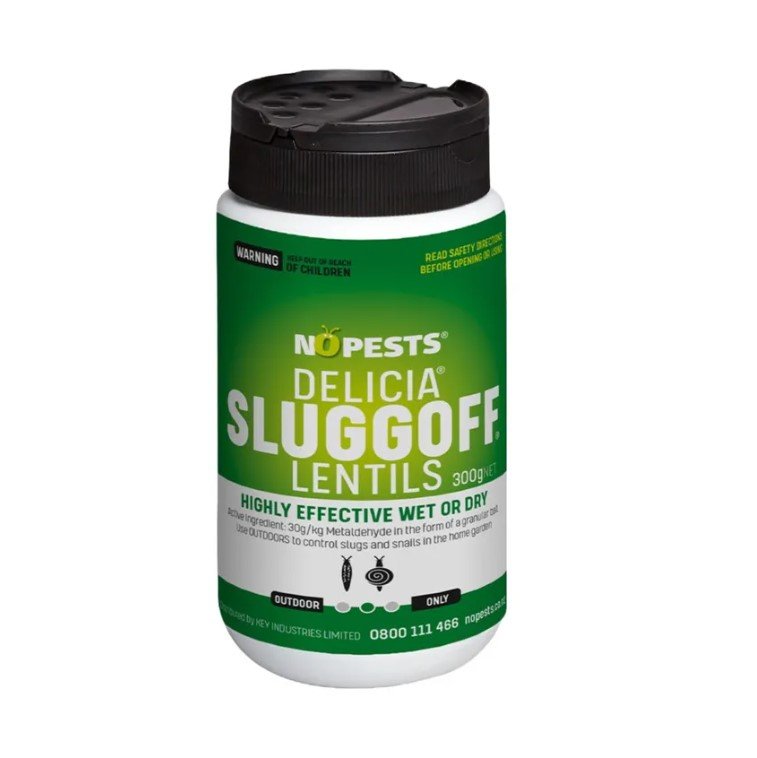 Delicia Sluggoff Lentils 300g | Pestrol