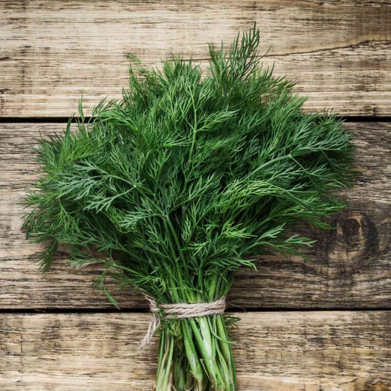 Dill | Pestrol