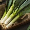 Musselburgh Leek | Pestrol