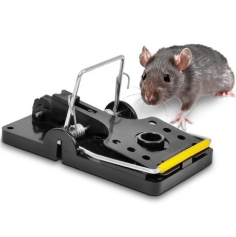 Snap Mouse Trap | Pestrol